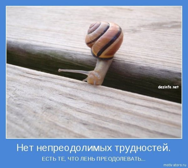 Мотиватор для жизни