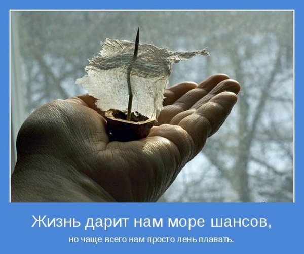 Мотиваторы про жизнь