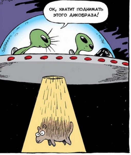 НЛО карикатура