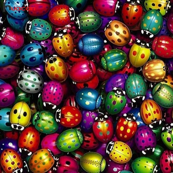 Радужные Божьи коровки