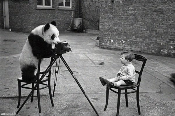 Прикольные черно белые фотографии