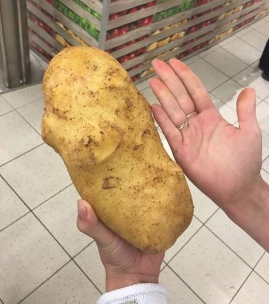 Смешная картошка