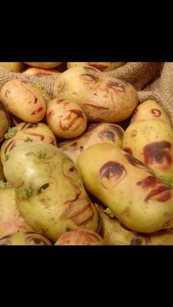 Живая картошка