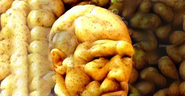 Живая картошка