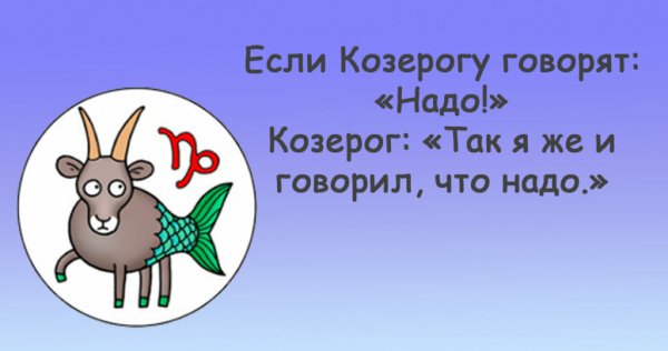 Приколы проткозерогов