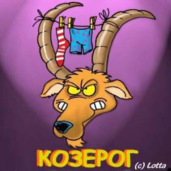Козерог прикольные