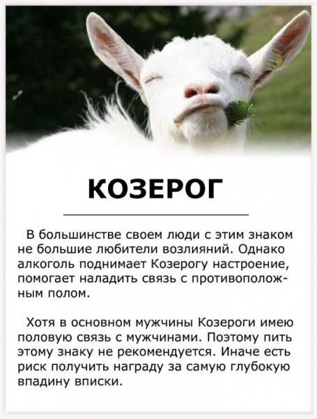 Козерог прикольный гороскоп