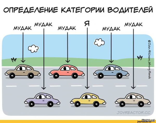 Прикольный водитель
