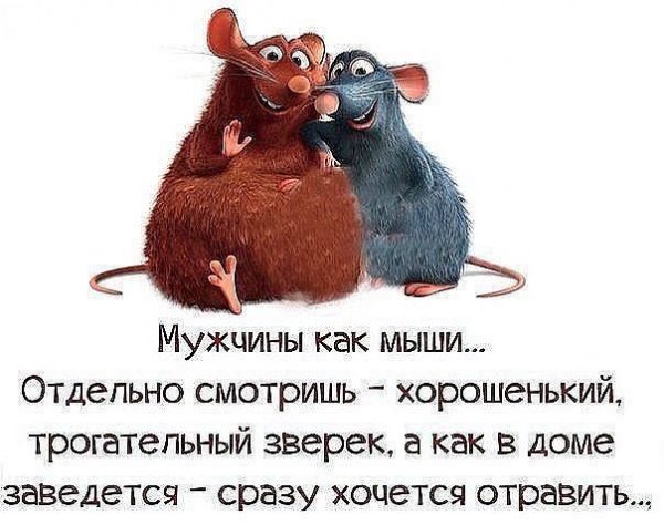Смешные высказывания