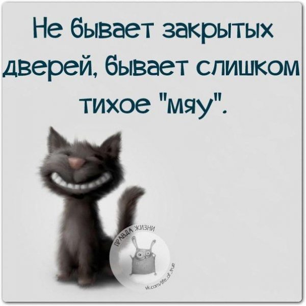 Смешные высказывания