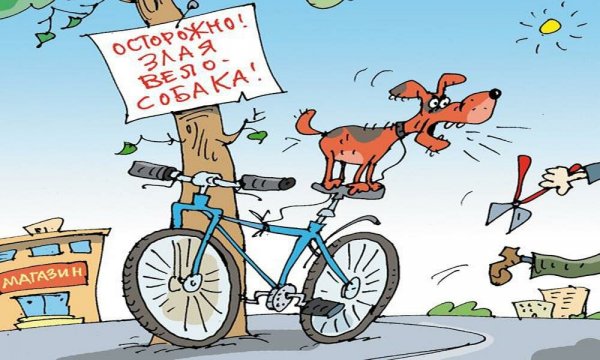 Велосипед карикатура