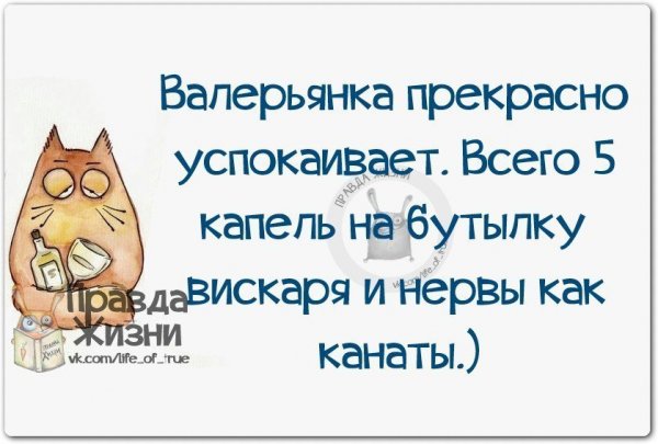 Прикольные высказывания про нервы