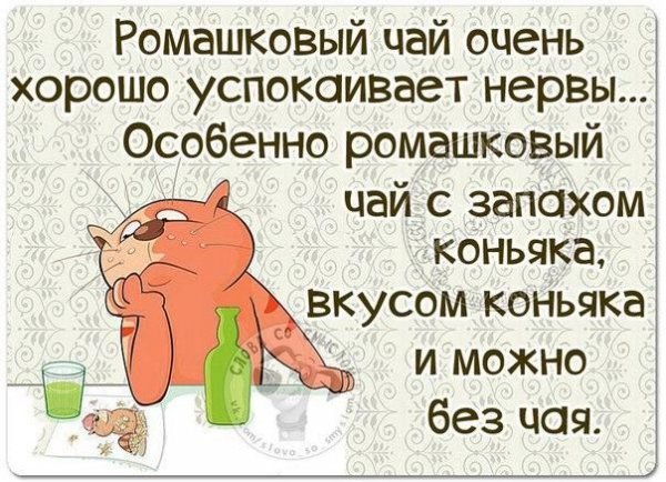Высказывания про коньяк смешные