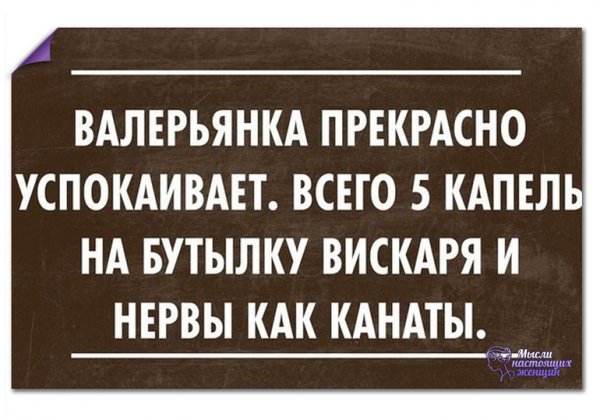 Транквилизаторы прикол