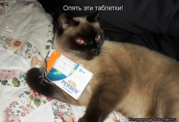 Успокоительное смешные картинки