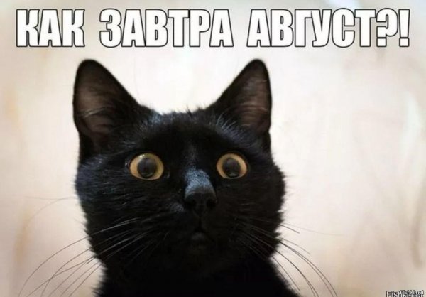 Скоро август