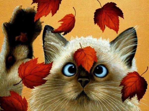 Коты и осень