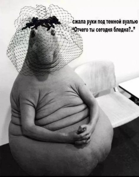 Ждун я что то нажала