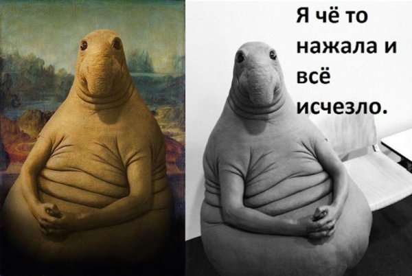 Ждун Мона Лиза