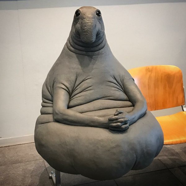 Ждун смешной