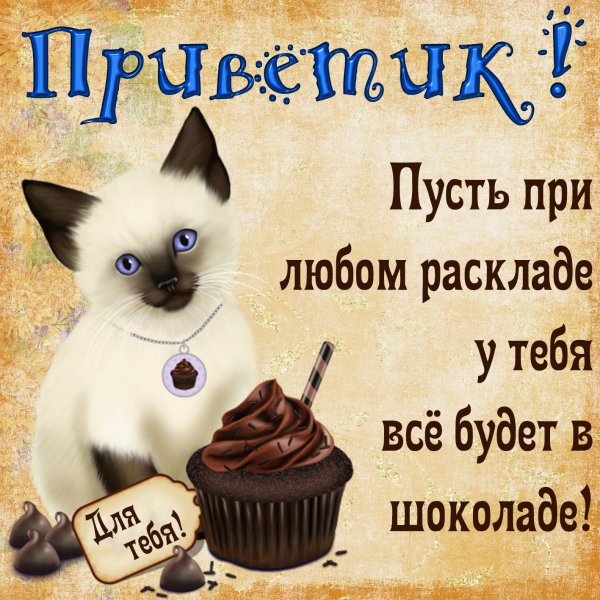 Приветик картинки прикольные