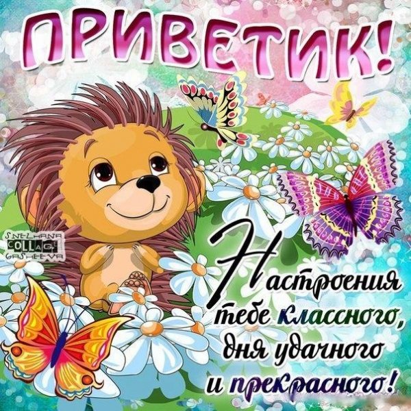 Открытки привет прикольные