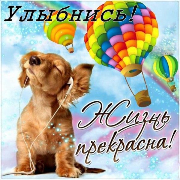 Улыбнись жизнь прекрасна