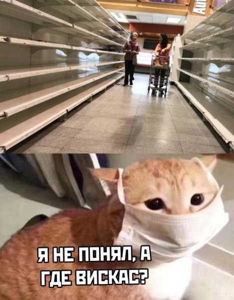 Арикрлы Аро коронавирус