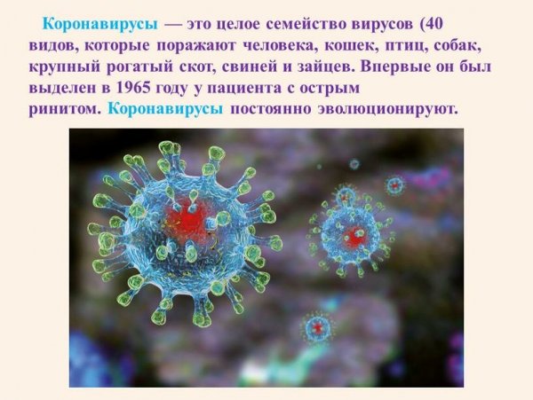 Молитва от коронавируса прикол