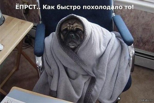 Шутки про похолодание