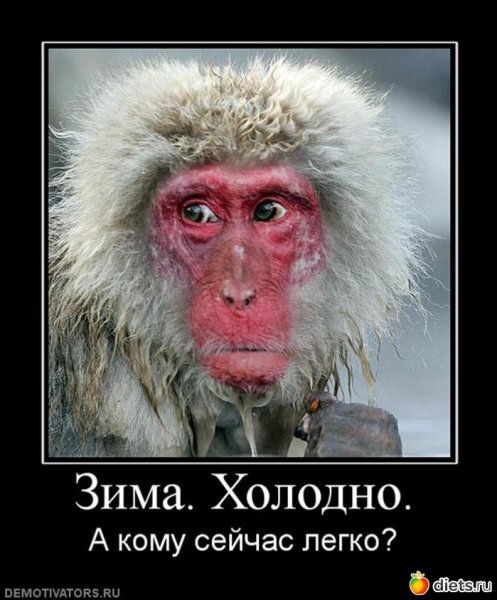Приколы про Мороз