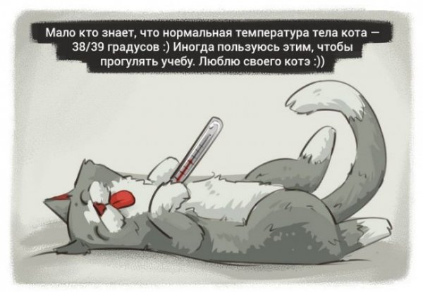 Афоризмы о температуре