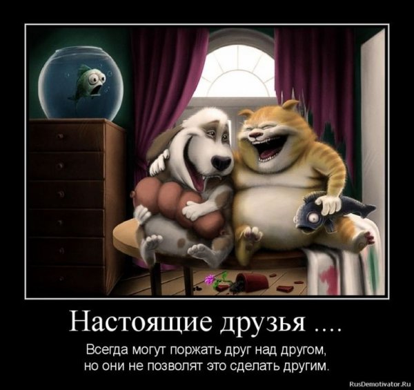 Демотиваторы про дружбу