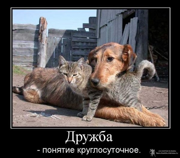 Приколы про друзей