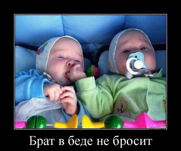 Приколы про друзей