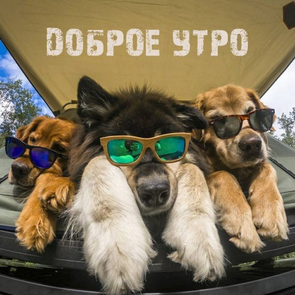 Юмористический позитив