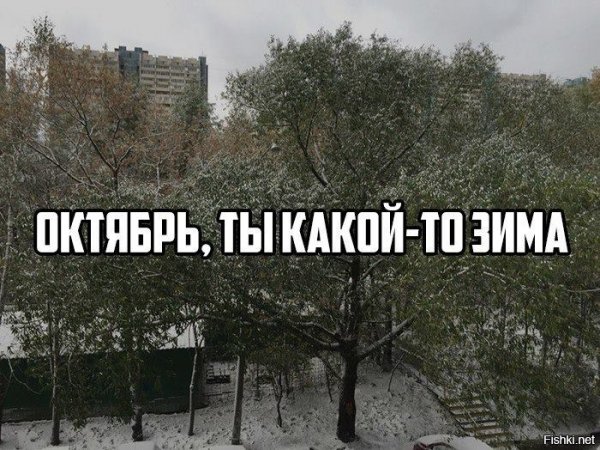 Шутки про октябрь