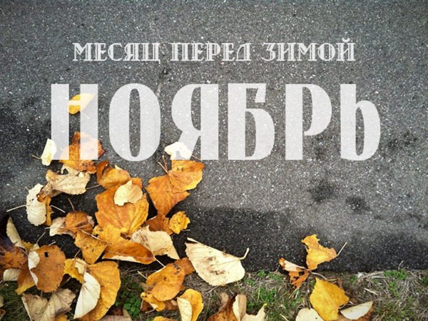 Ноябрь последний месяц осени