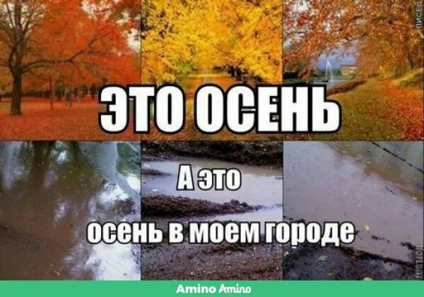 Смешные приколы про осень