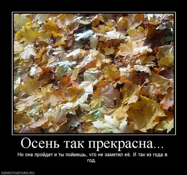 Смешная осень