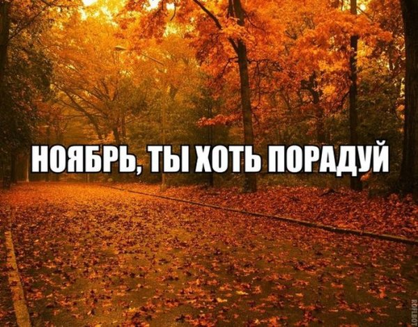 Приколы про ноябрь