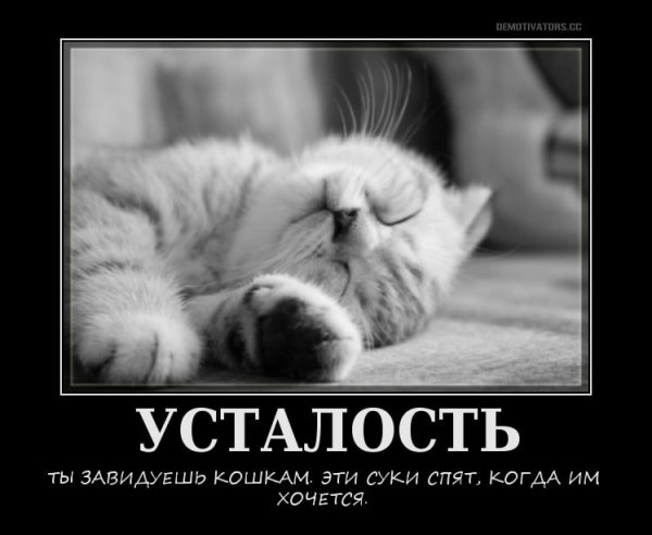 Статусы про усталость