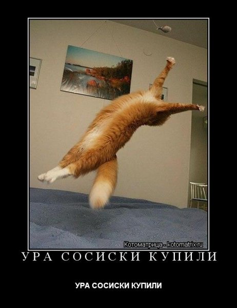 Наконец то пятница приколы