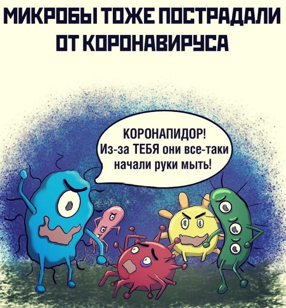 Шутки про коронавирус
