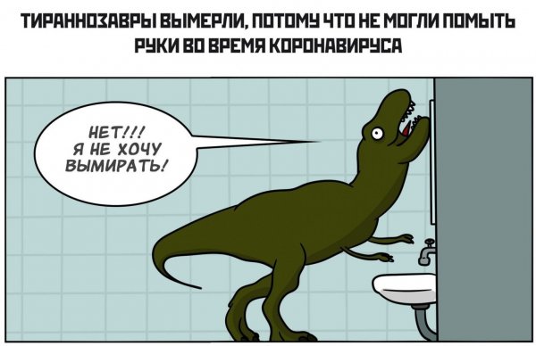 Приколыипро корона Аирум