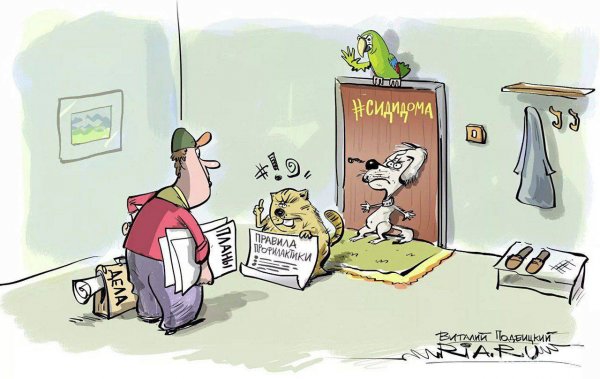 Сидим дома карикатура