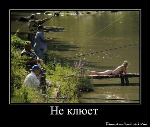 Приколы на рыбалке