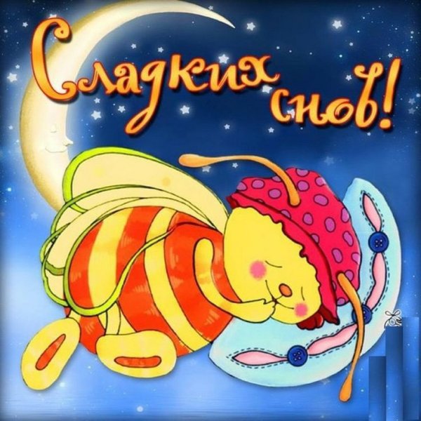 Спокойной ночи с котами