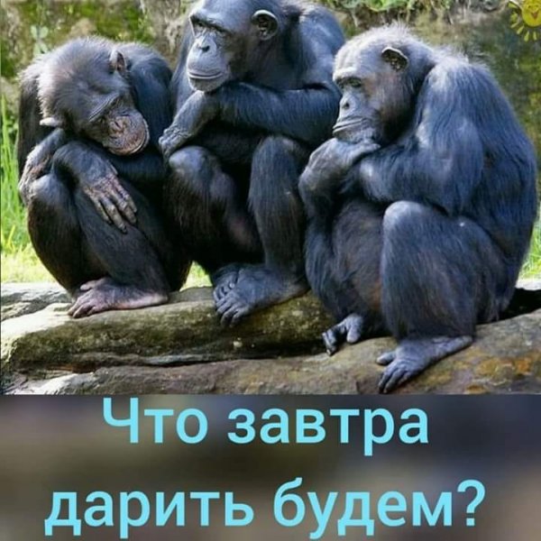 Фото с юмором прикольные с надписями