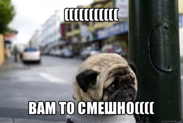 Мем с печалькой